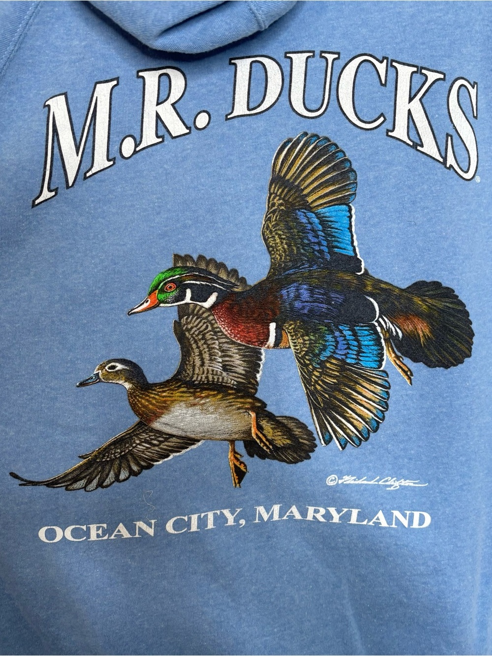 MR Ducks Blue Fleece Full Zip Hoodie Sweatshirt Jacket Sz Large - Picture 5 of 8